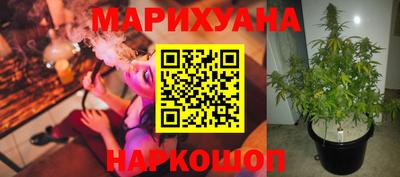 стаф Абакан