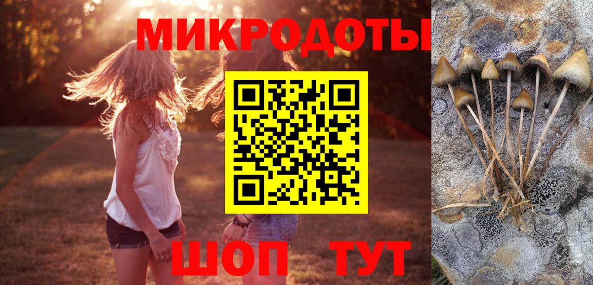 Алейск  хочу   Вход с VPN  Псилоцибиновые грибы Cubensis  Псилоцибиновые грибы MAGIC MUSHROOMS 